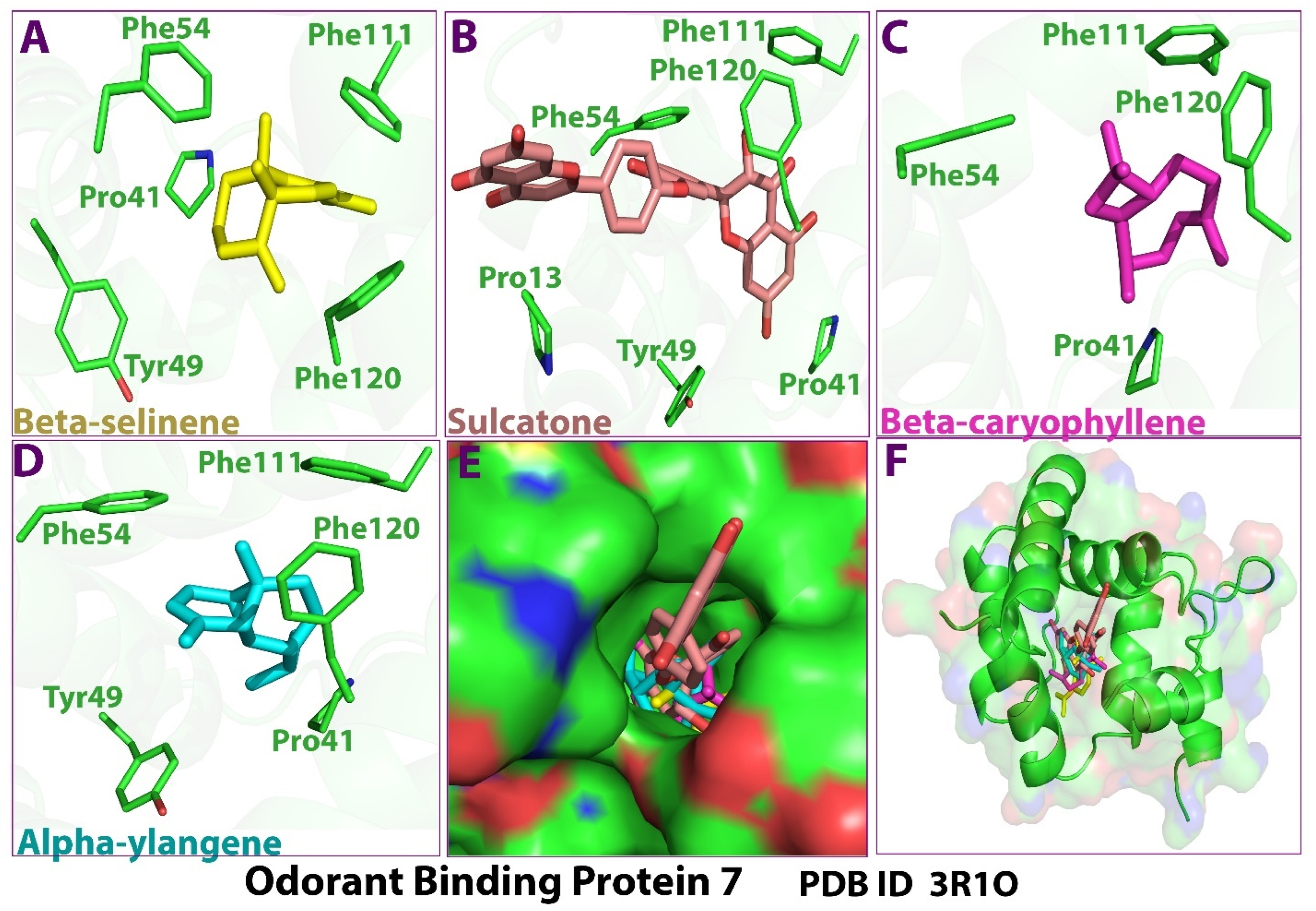 Applsci 12 07500 g003 Applsci 12 07500 g003