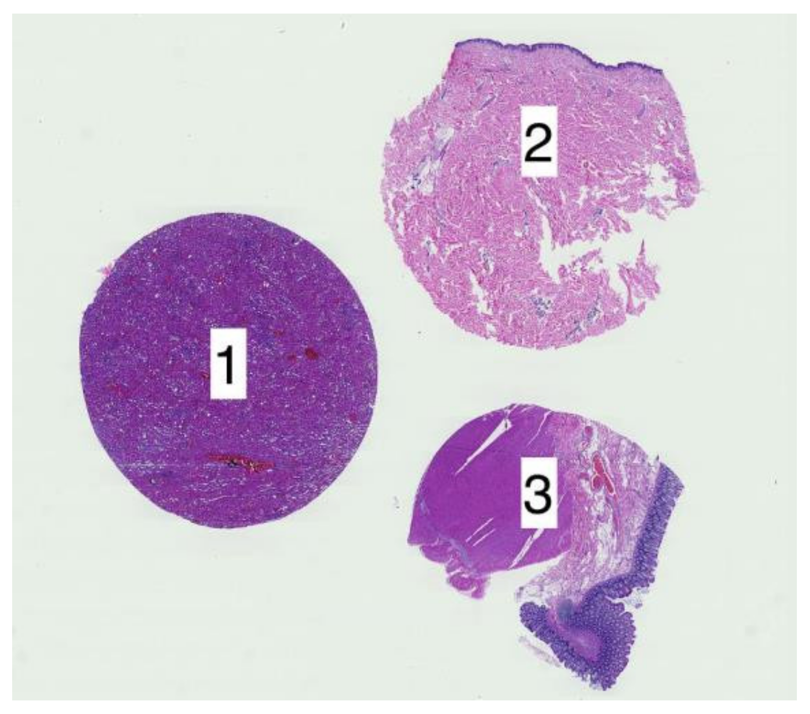 Applsci 12 07511 g001