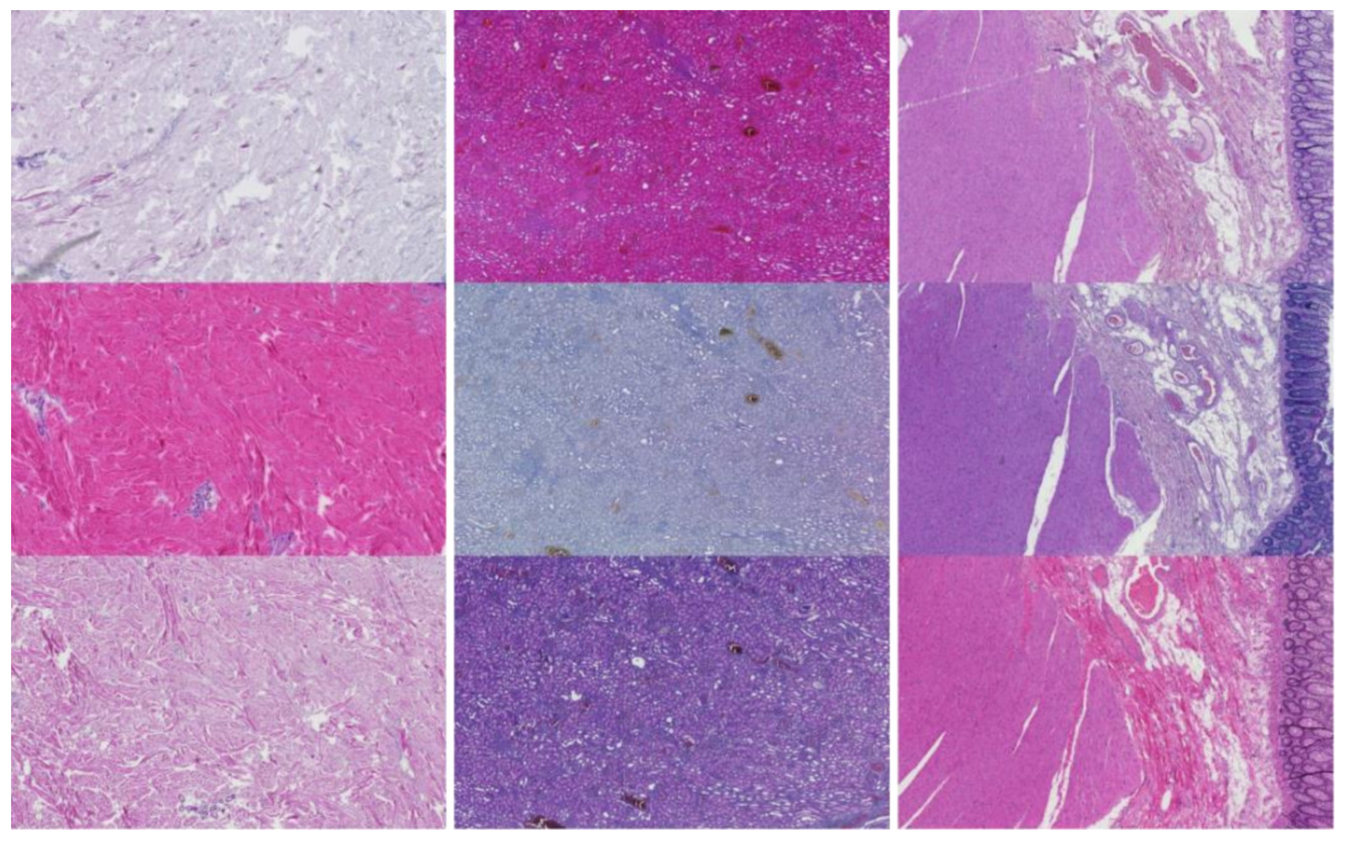 Applsci 12 07511 g003