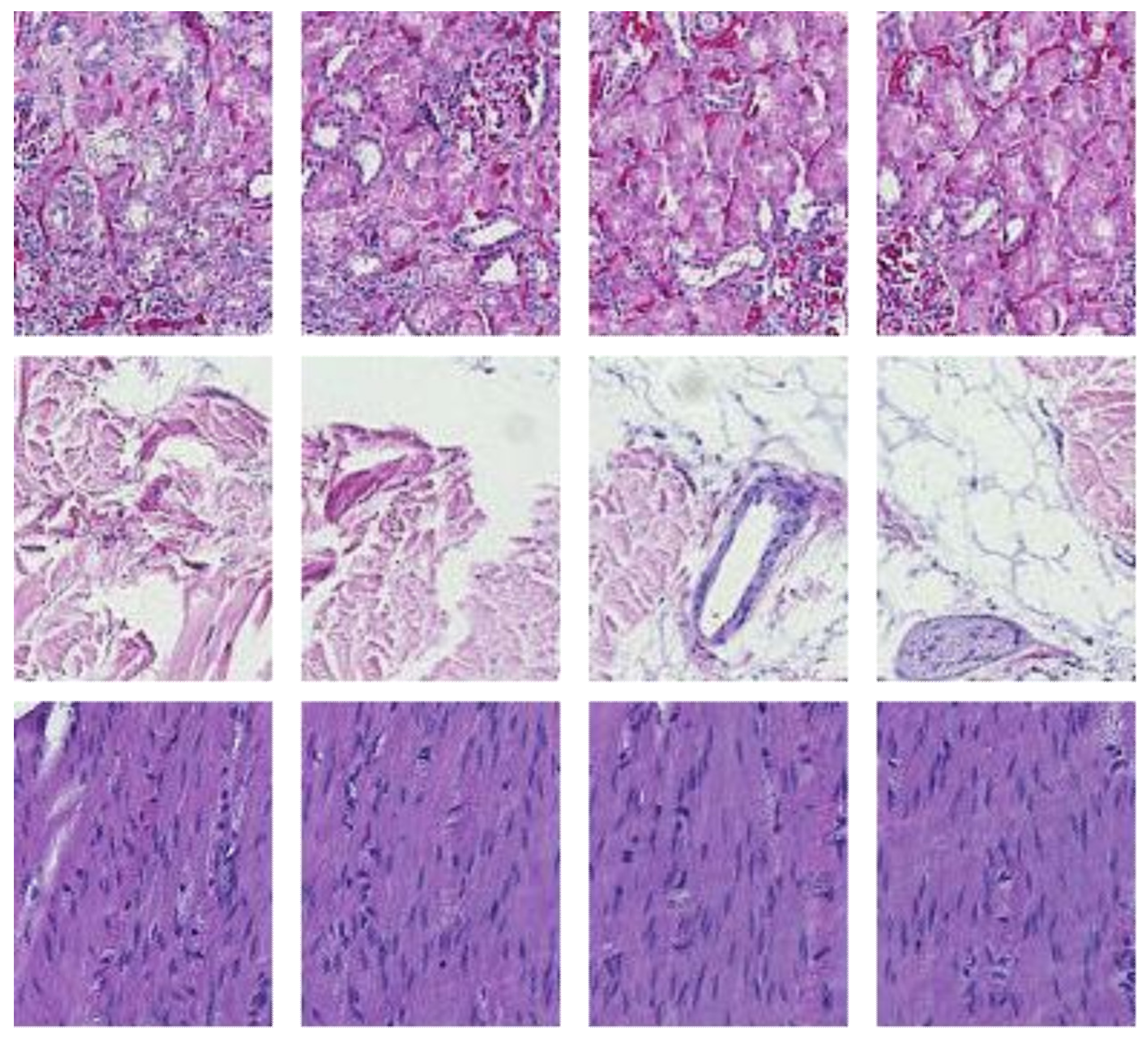 Applsci 12 07511 g007