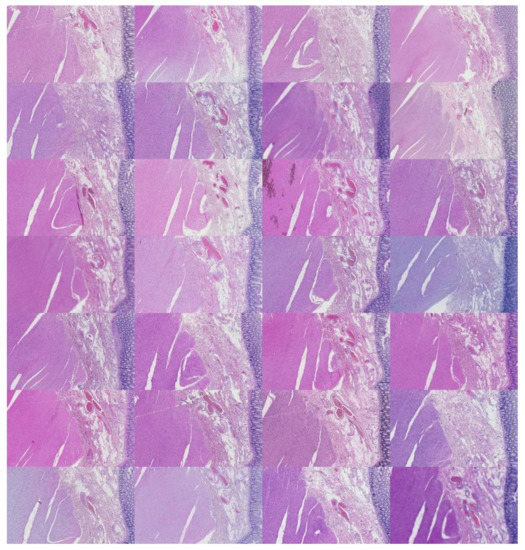 Applsci 12 07511 g0a10 550