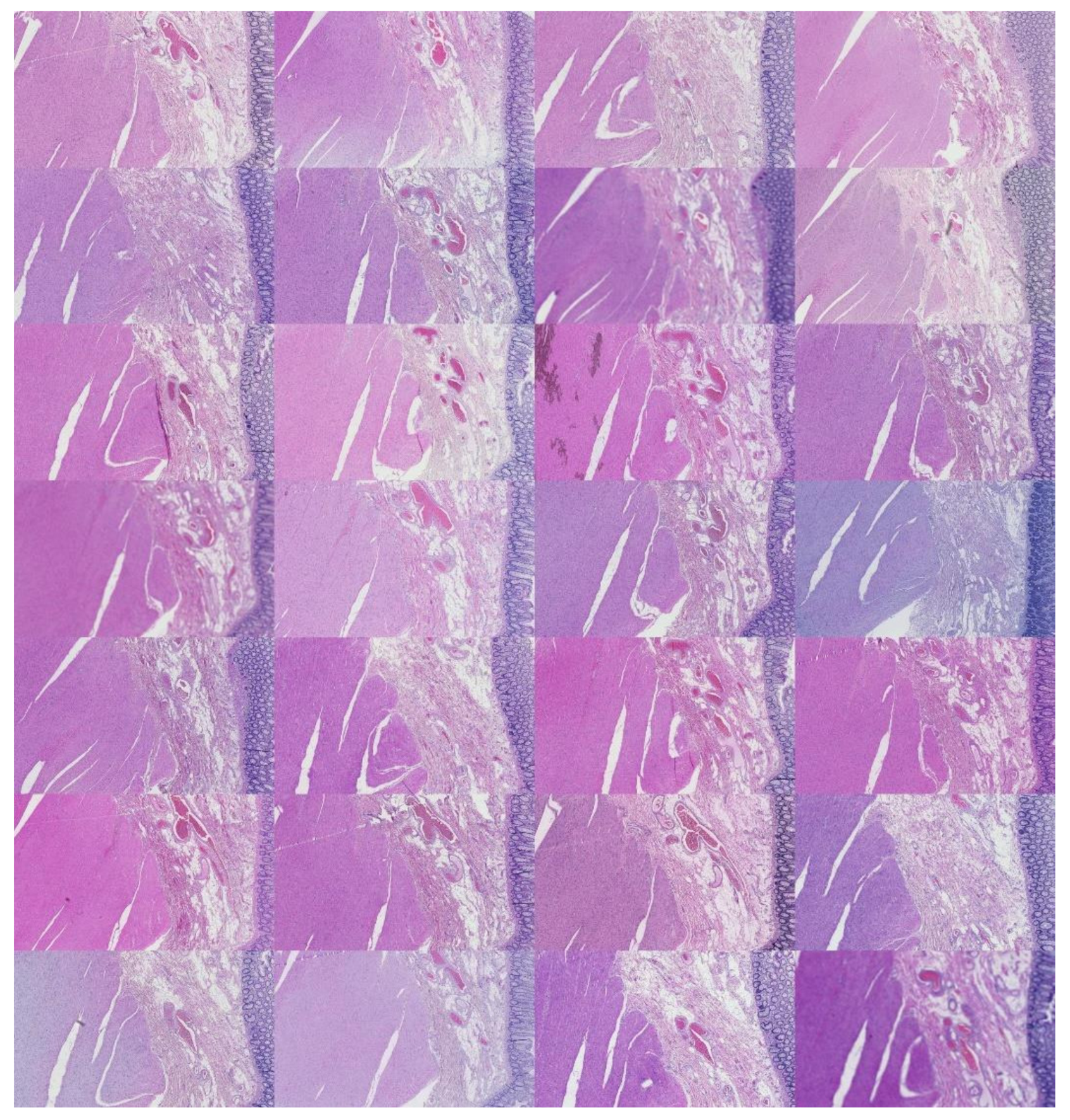 Applsci 12 07511 g0a10