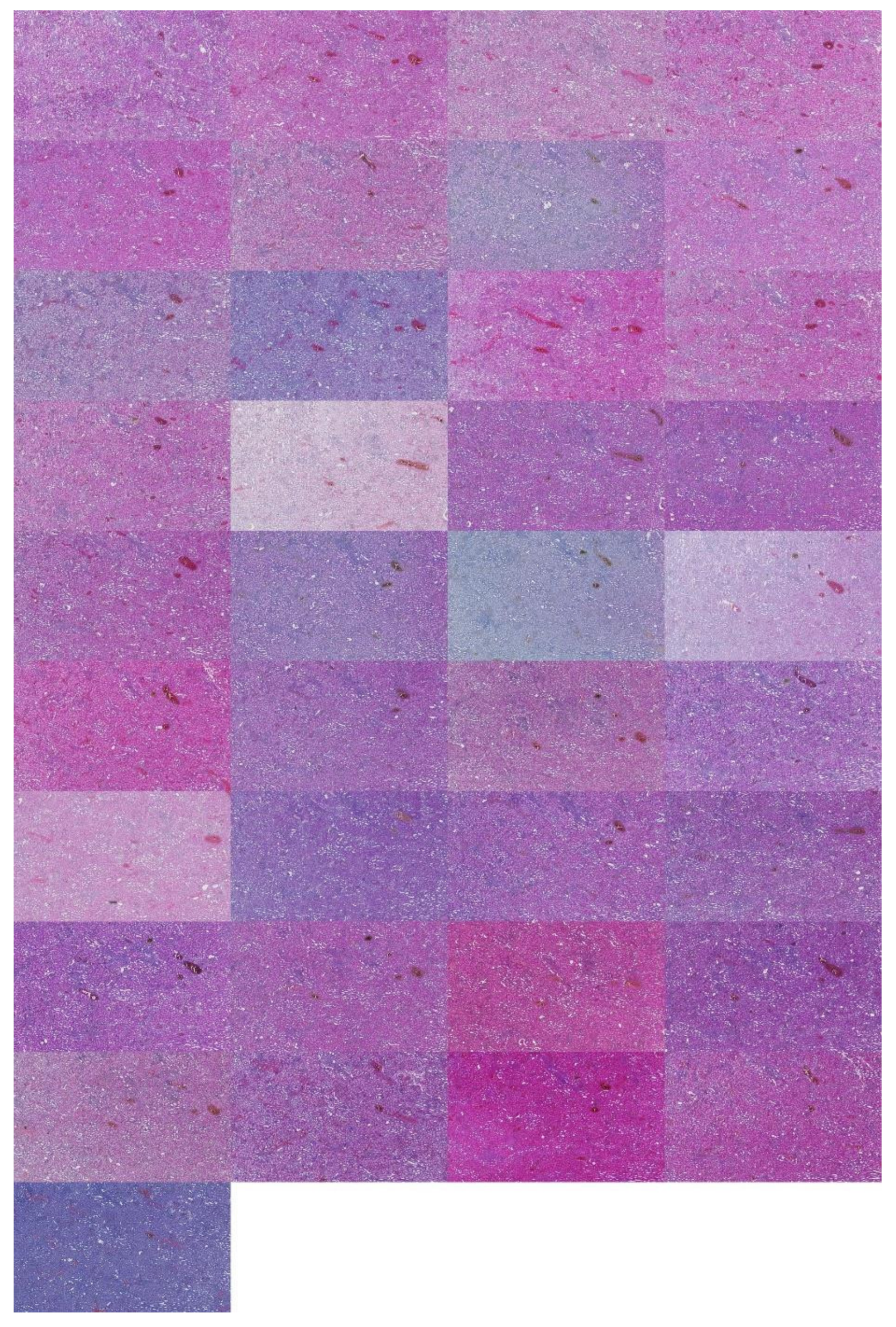 Applsci 12 07511 g0a5