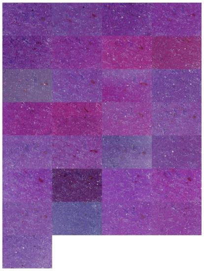 Applsci 12 07511 g0a6 550