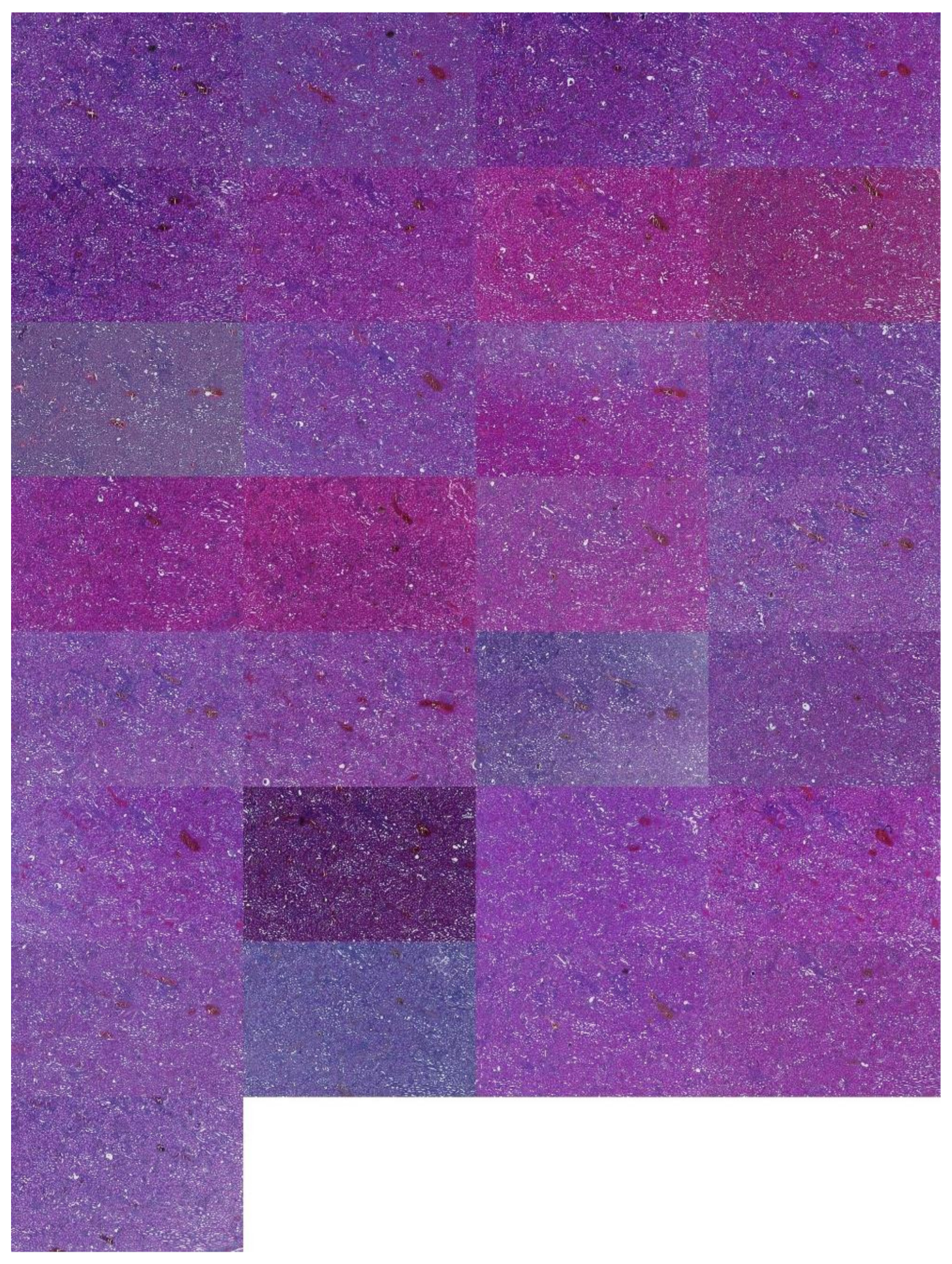 Applsci 12 07511 g0a6