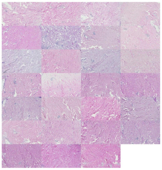 Applsci 12 07511 g0a7 550