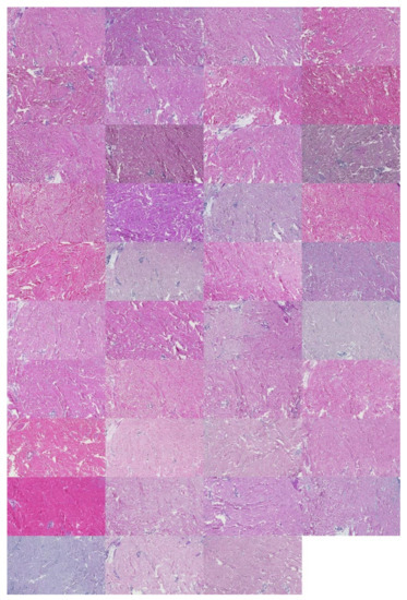 Applsci 12 07511 g0a8 550