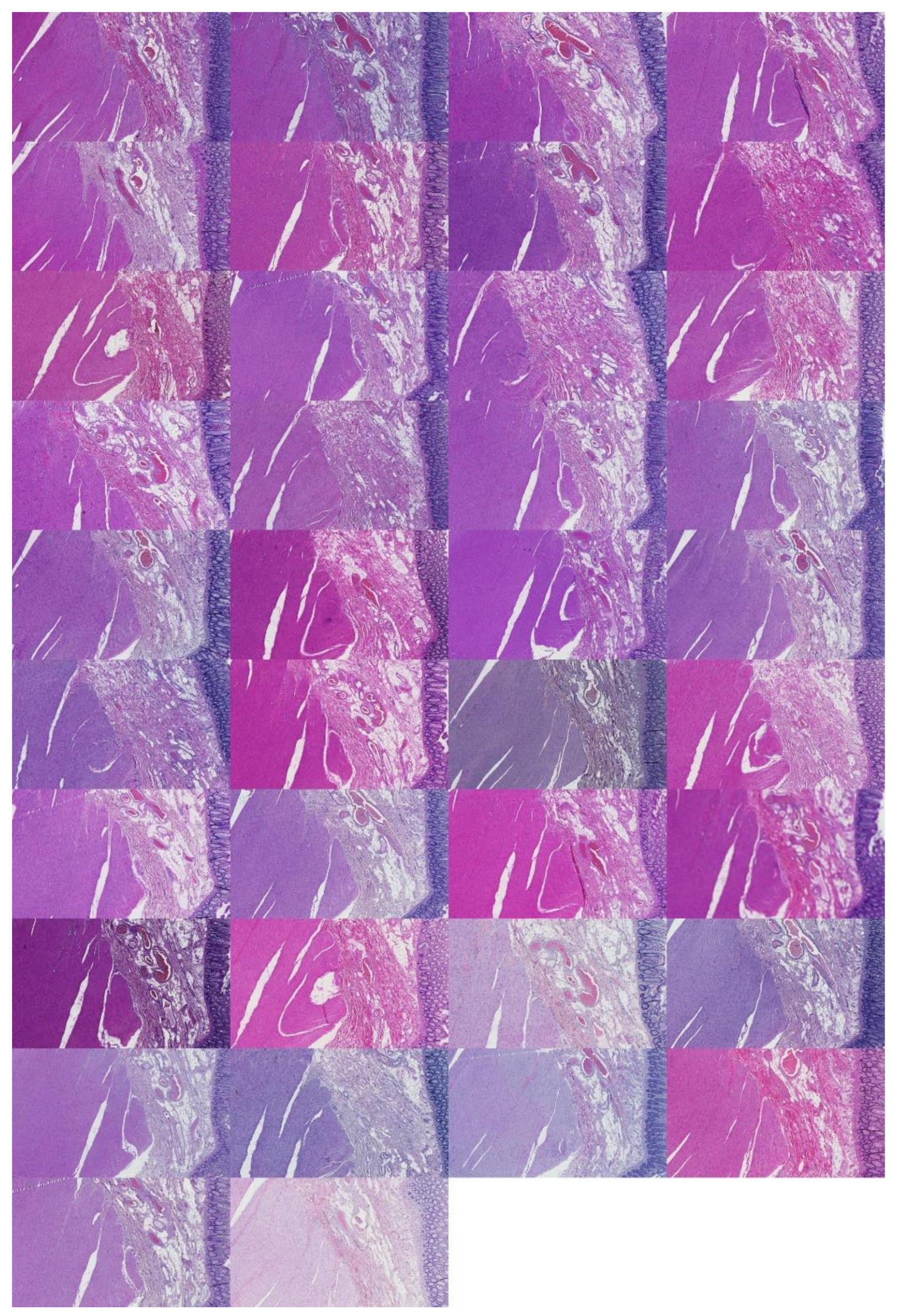 Applsci 12 07511 g0a9