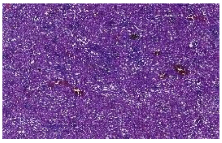 Applsci 12 07511 i002