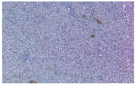 Applsci 12 07511 i003