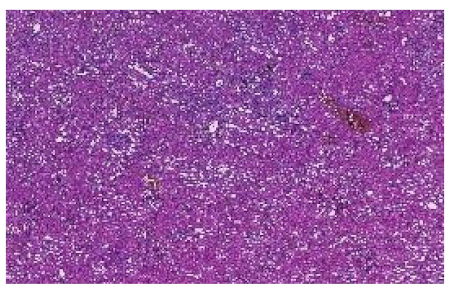 Applsci 12 07511 i004