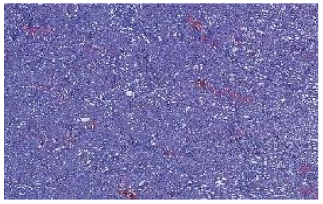 Applsci 12 07511 i005