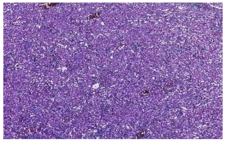 Applsci 12 07511 i006