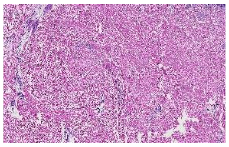 Applsci 12 07511 i008