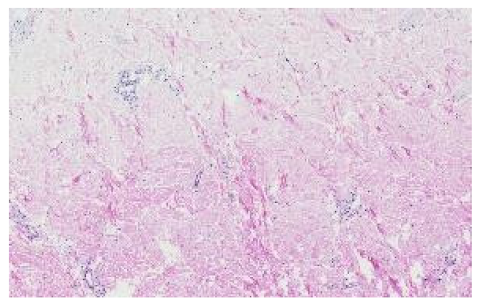 Applsci 12 07511 i009