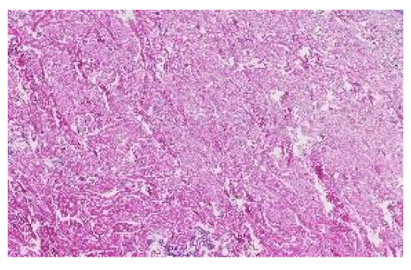 Applsci 12 07511 i010