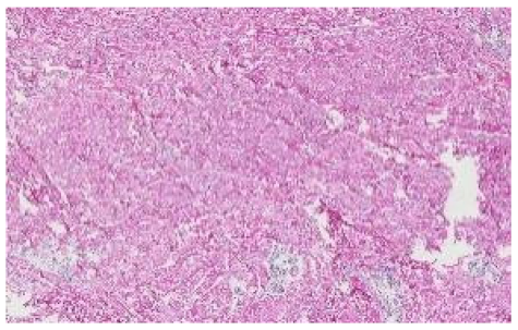 Applsci 12 07511 i011