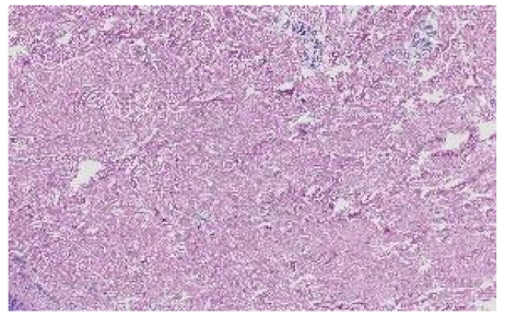 Applsci 12 07511 i012