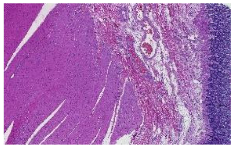 Applsci 12 07511 i013