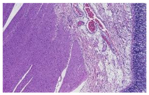 Applsci 12 07511 i015