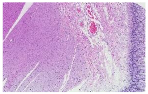 Applsci 12 07511 i016