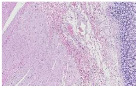 Applsci 12 07511 i017