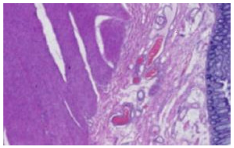 Applsci 12 07511 i018