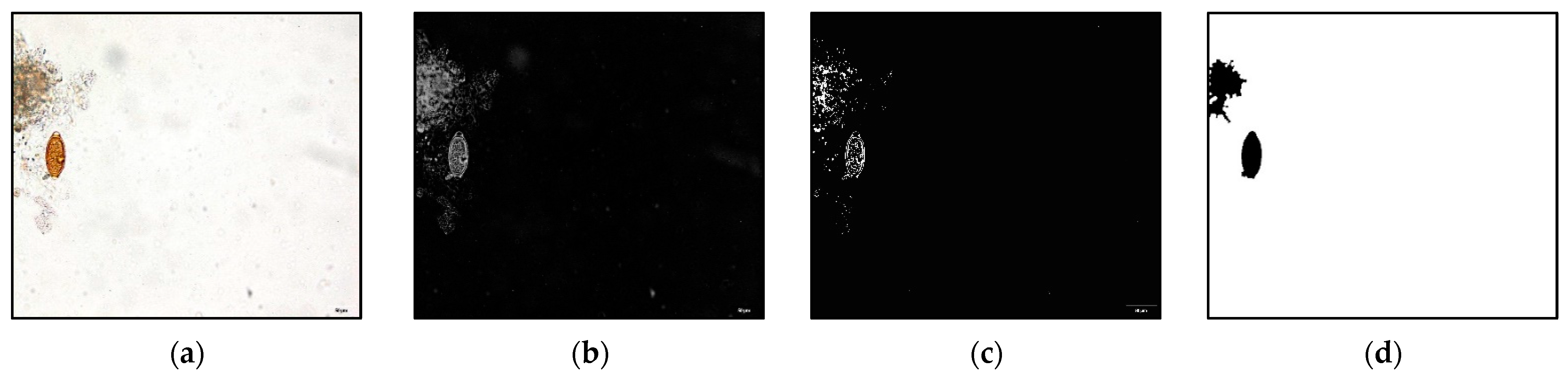 Applsci 12 07542 g002