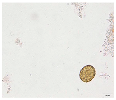 Applsci 12 07542 i002