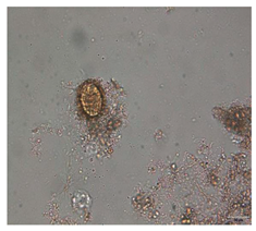 Applsci 12 07542 i003