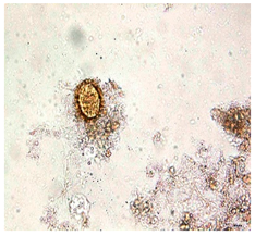 Applsci 12 07542 i006