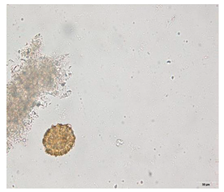 Applsci 12 07542 i007