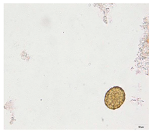 Applsci 12 07542 i008