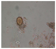 Applsci 12 07542 i009