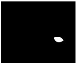 Applsci 12 07542 i019