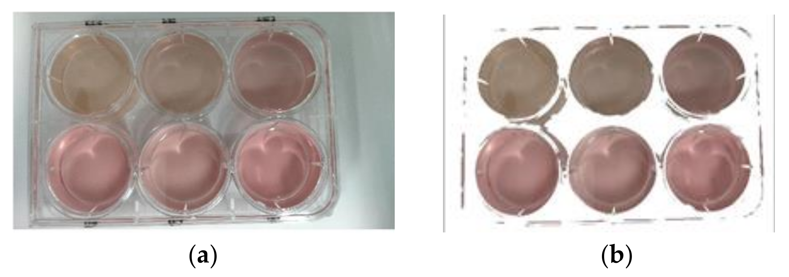 Applsci 12 07560 g003