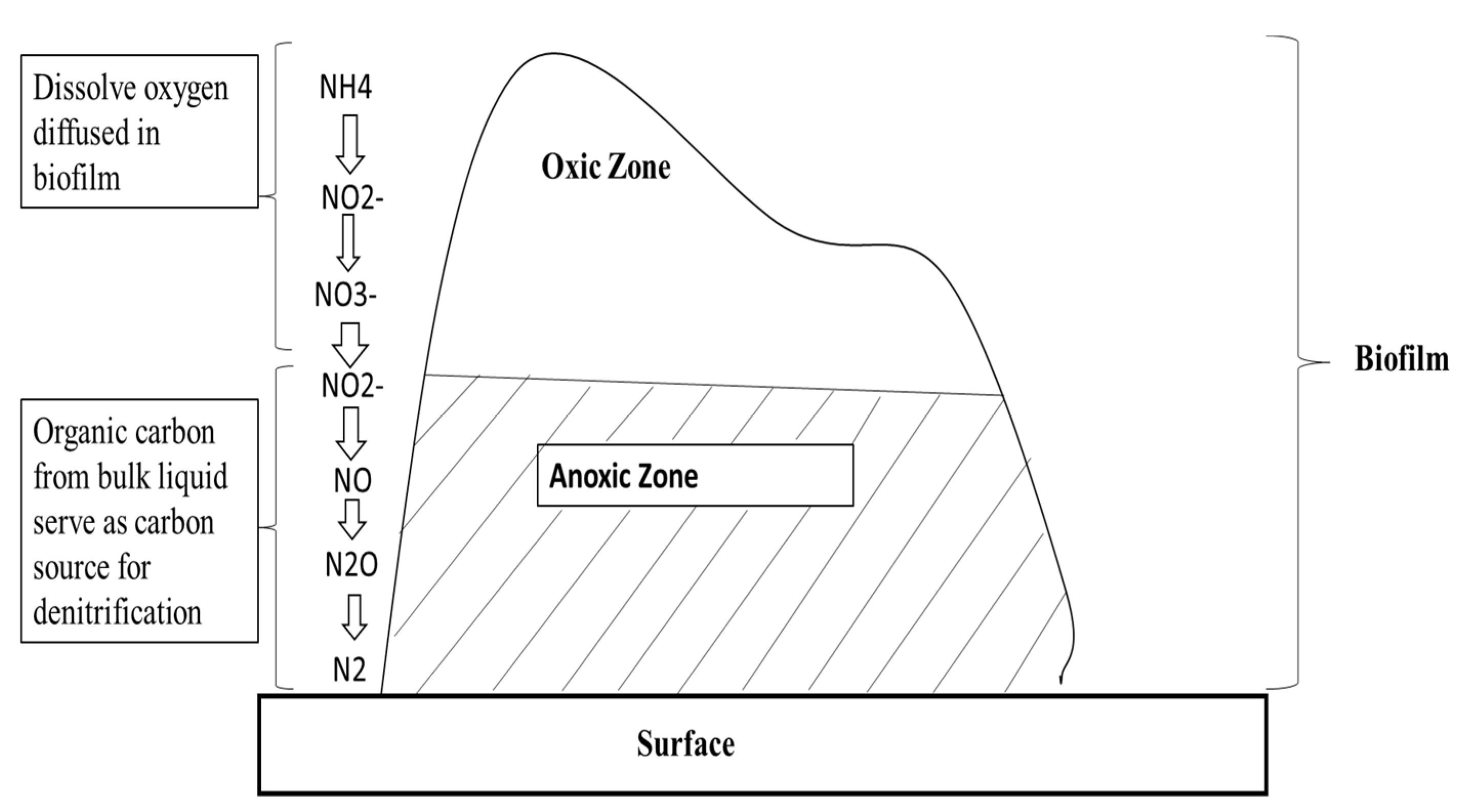 Applsci 12 07561 g001