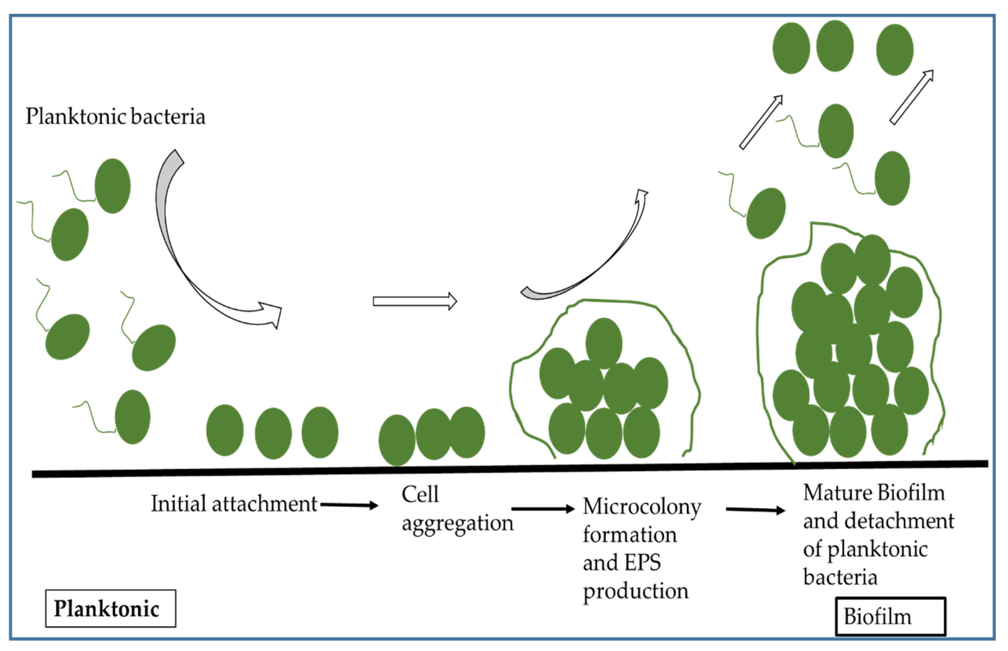 Applsci 12 07561 g002