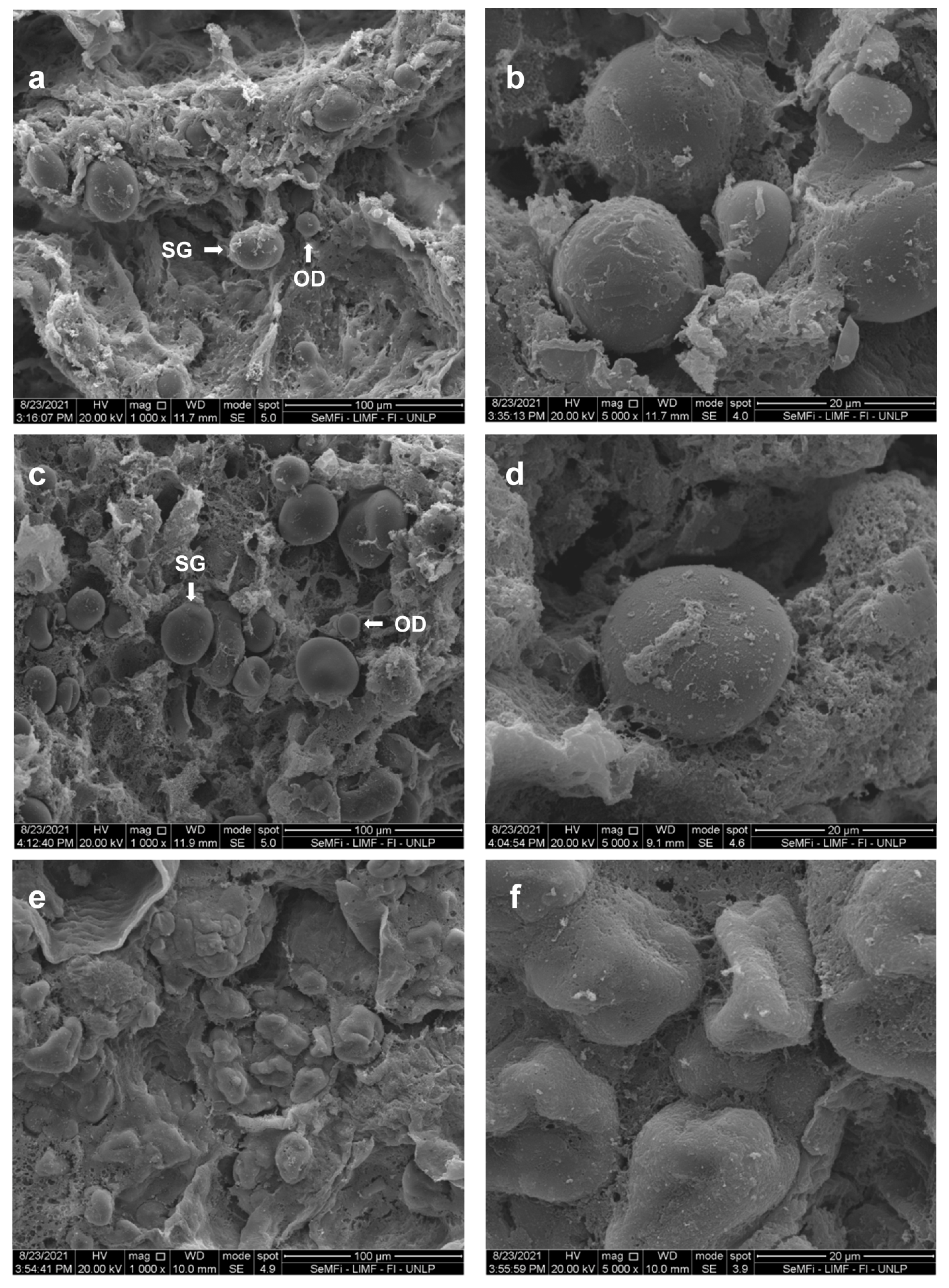 Applsci 12 07571 g005