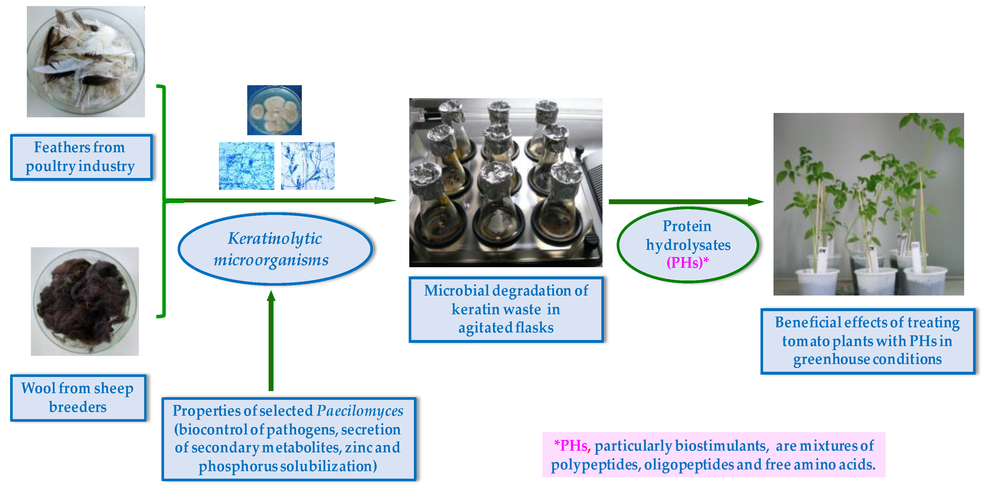 Applsci 12 07572 g001