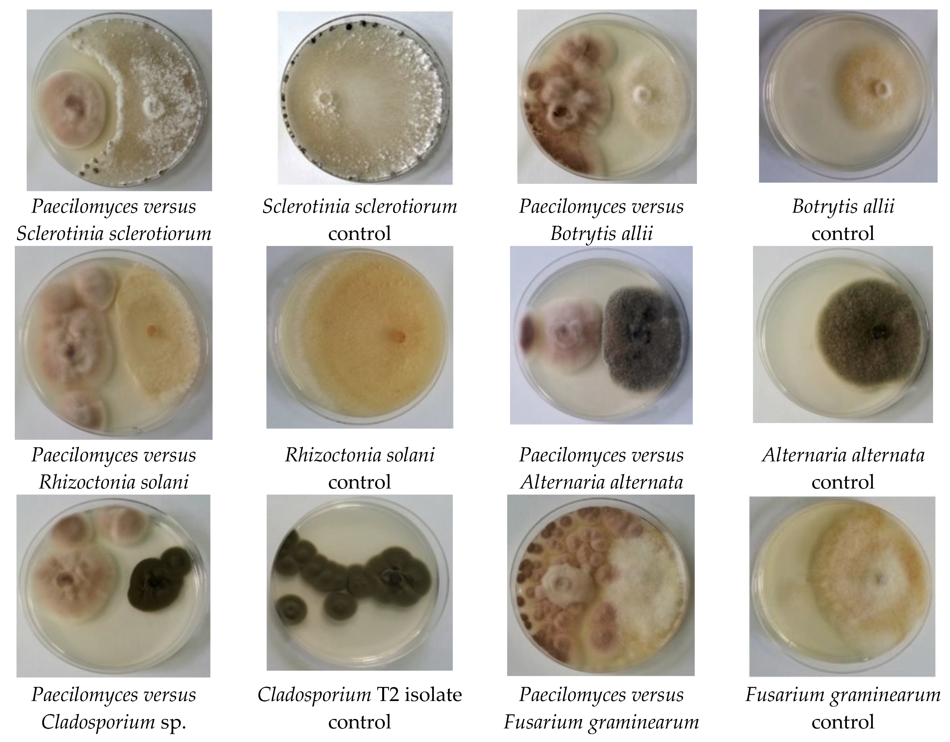 Applsci 12 07572 g002