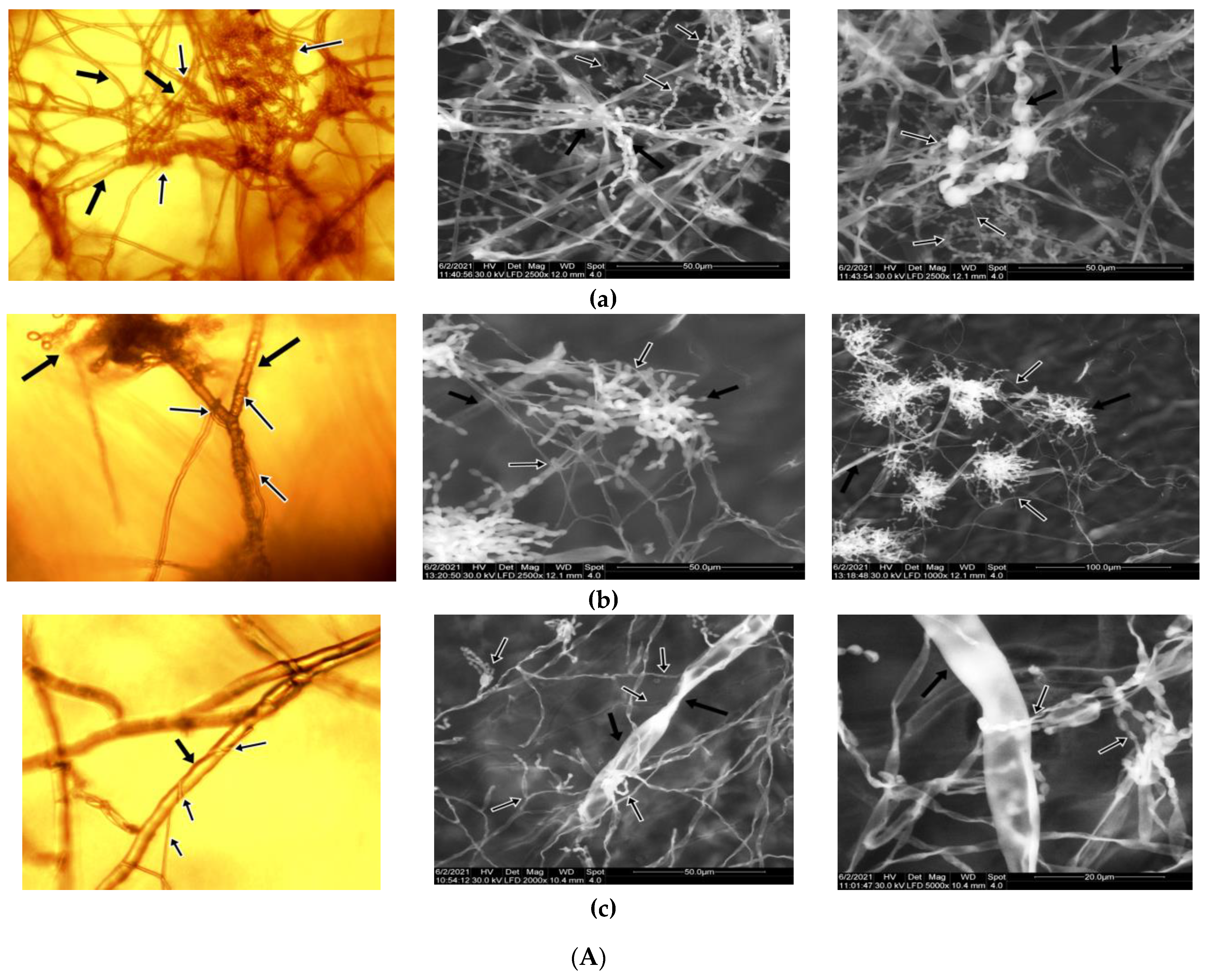 Applsci 12 07572 g003a