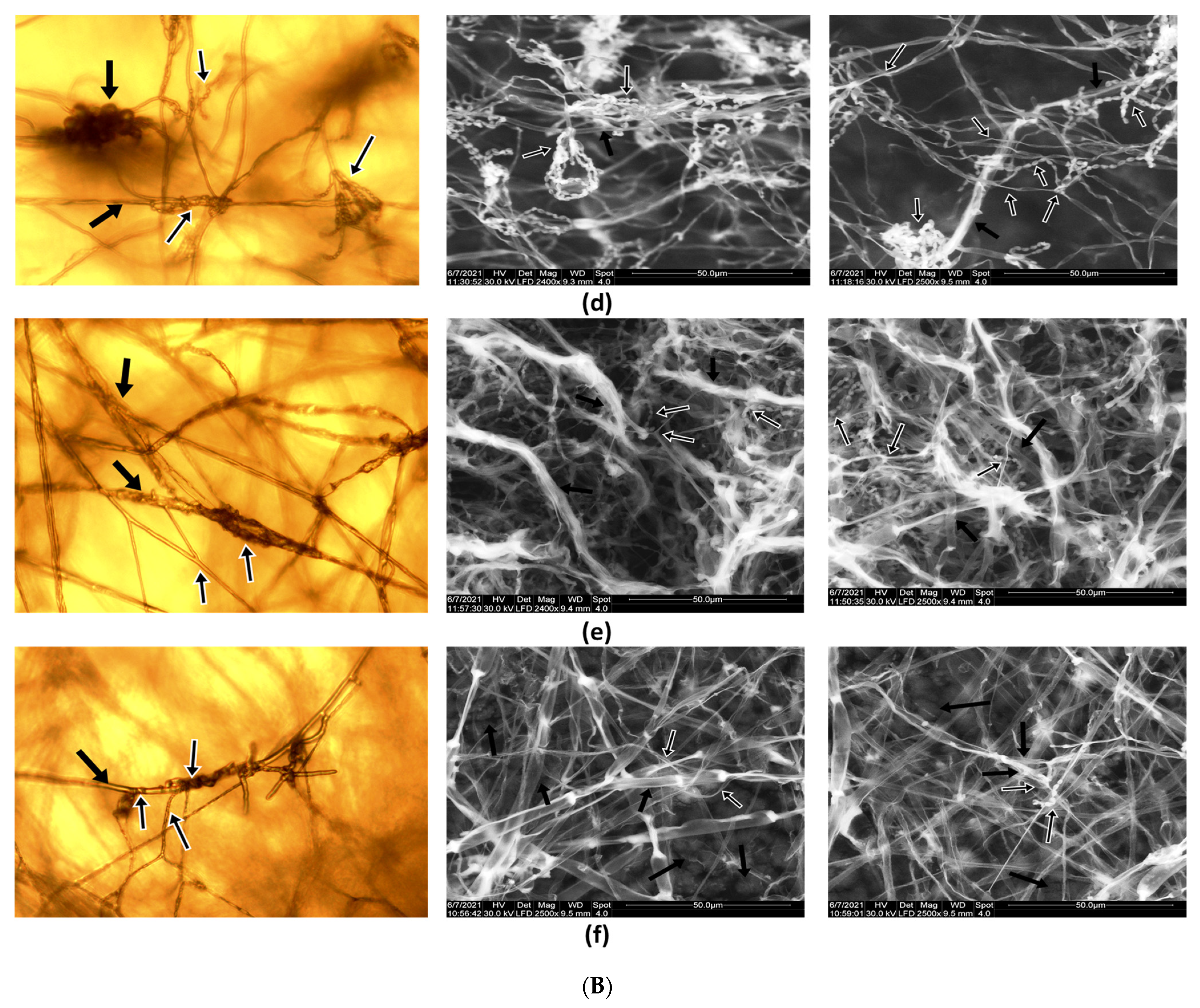 Applsci 12 07572 g003b