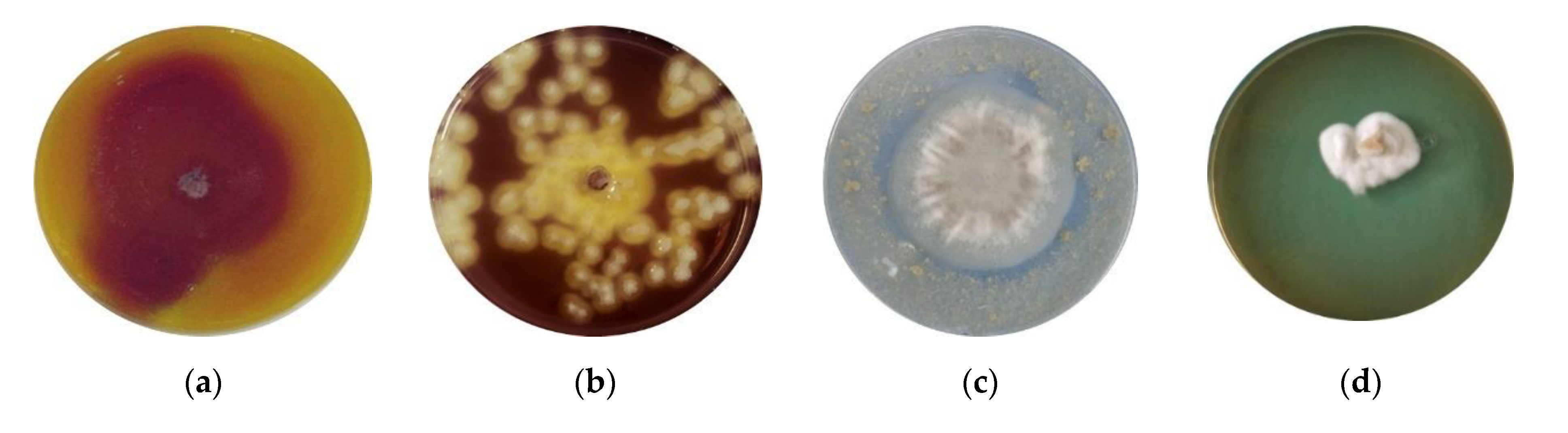 Applsci 12 07572 g004