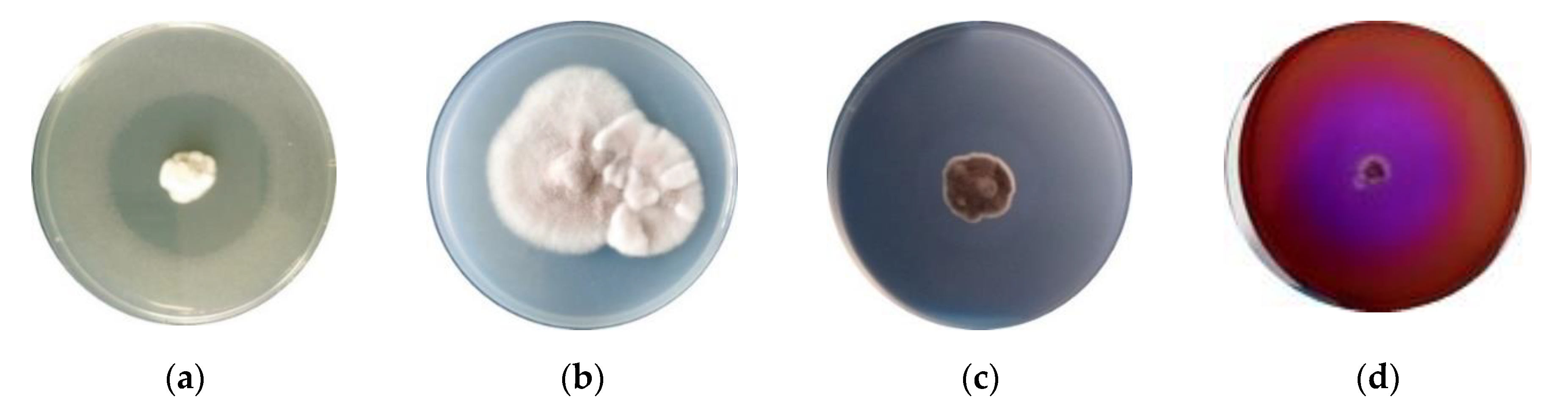 Applsci 12 07572 g005