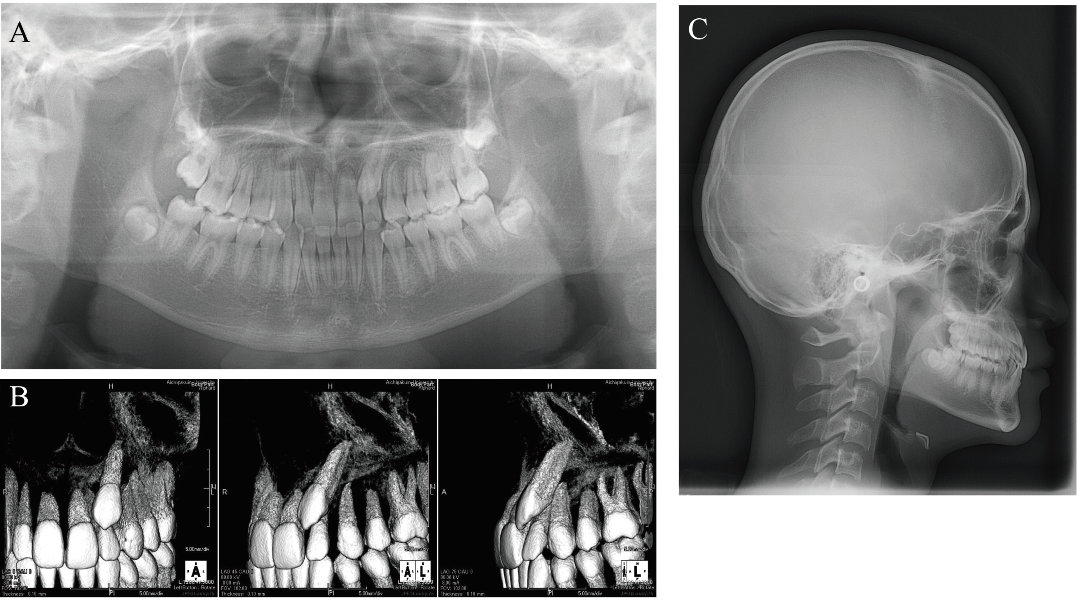 Applsci 12 07620 g003