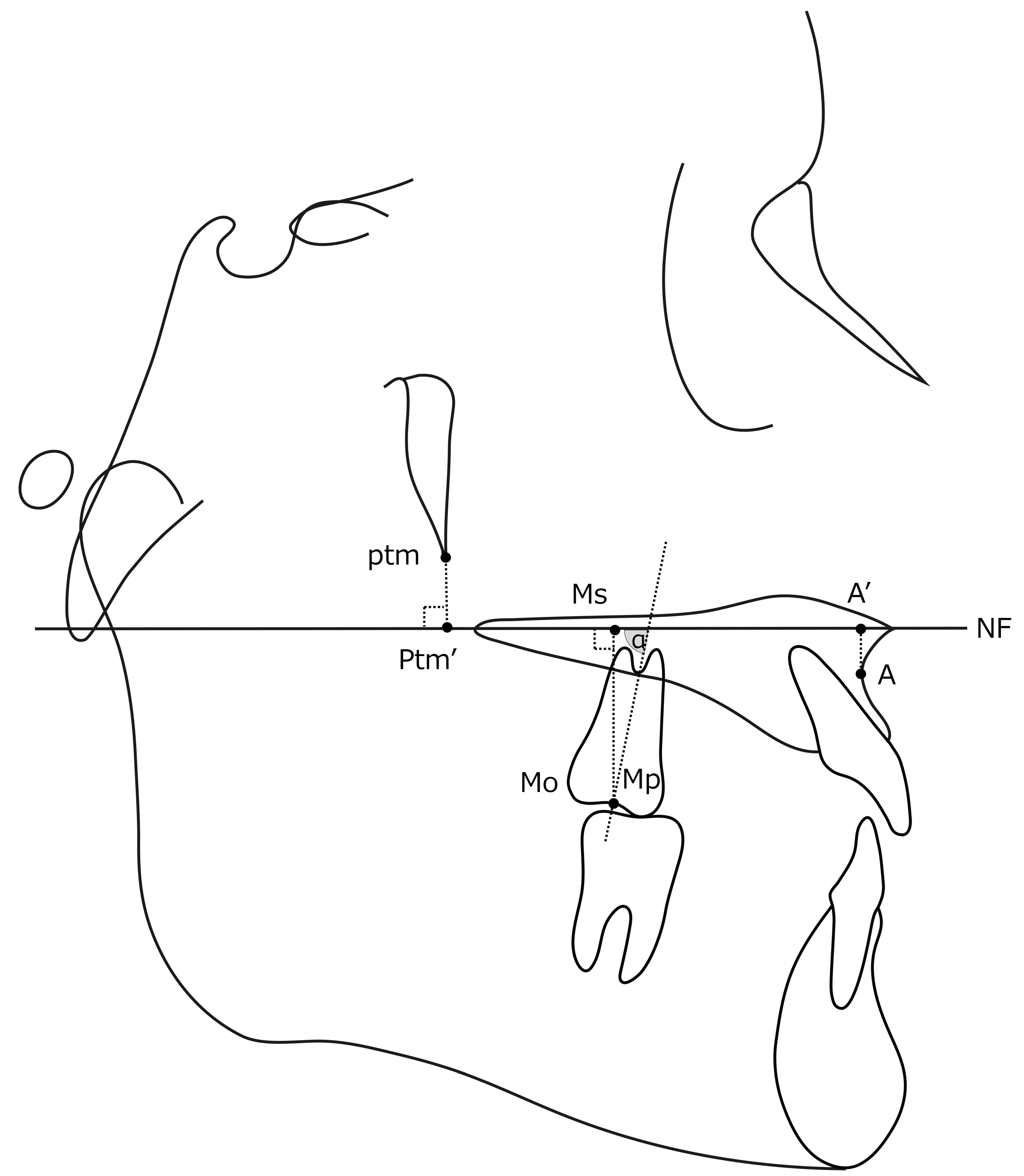 Applsci 12 07620 g004