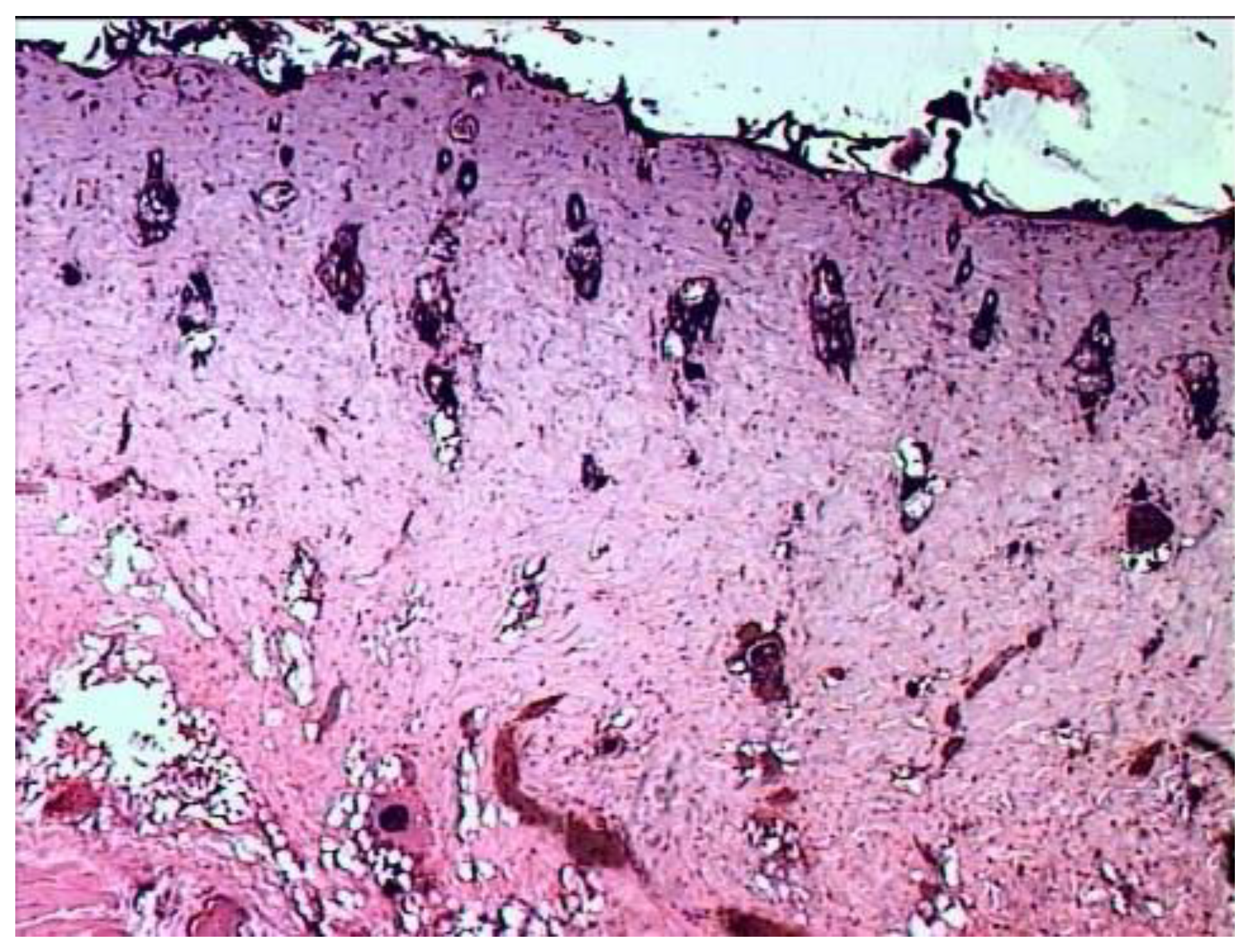 Applsci 12 07638 g001