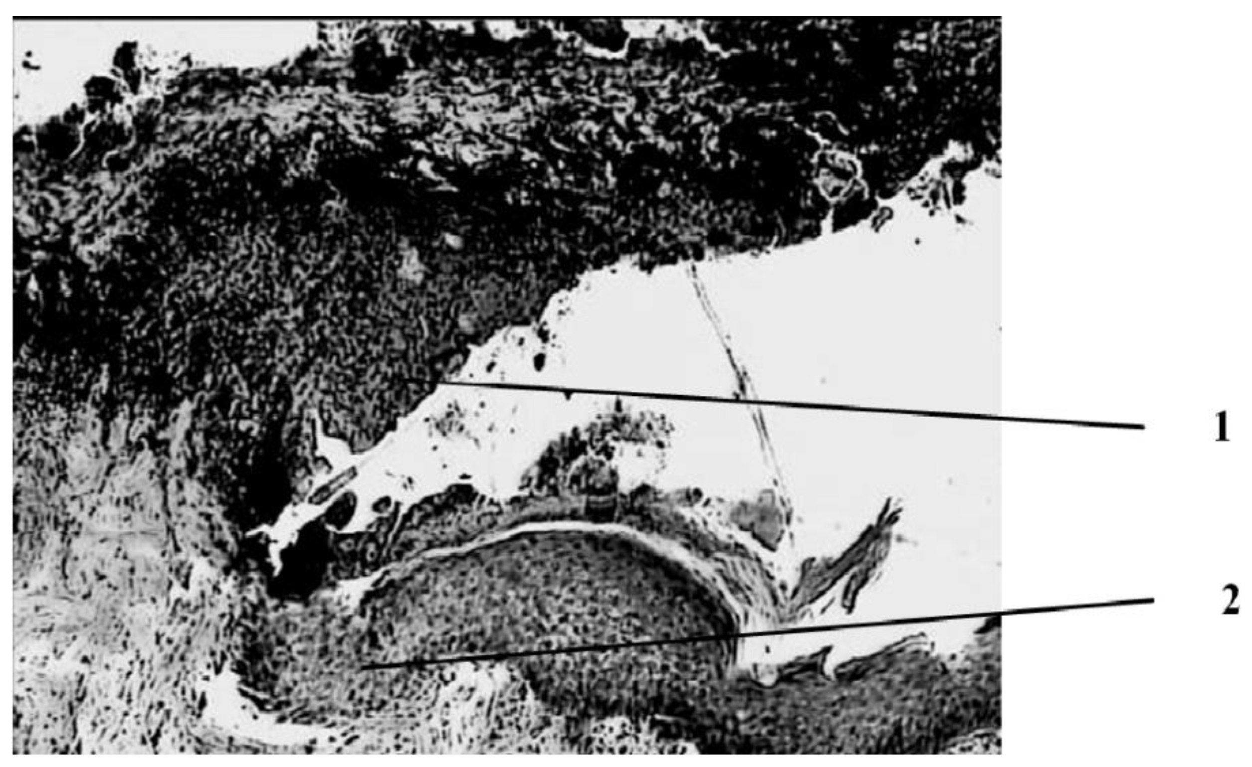 Applsci 12 07638 g002