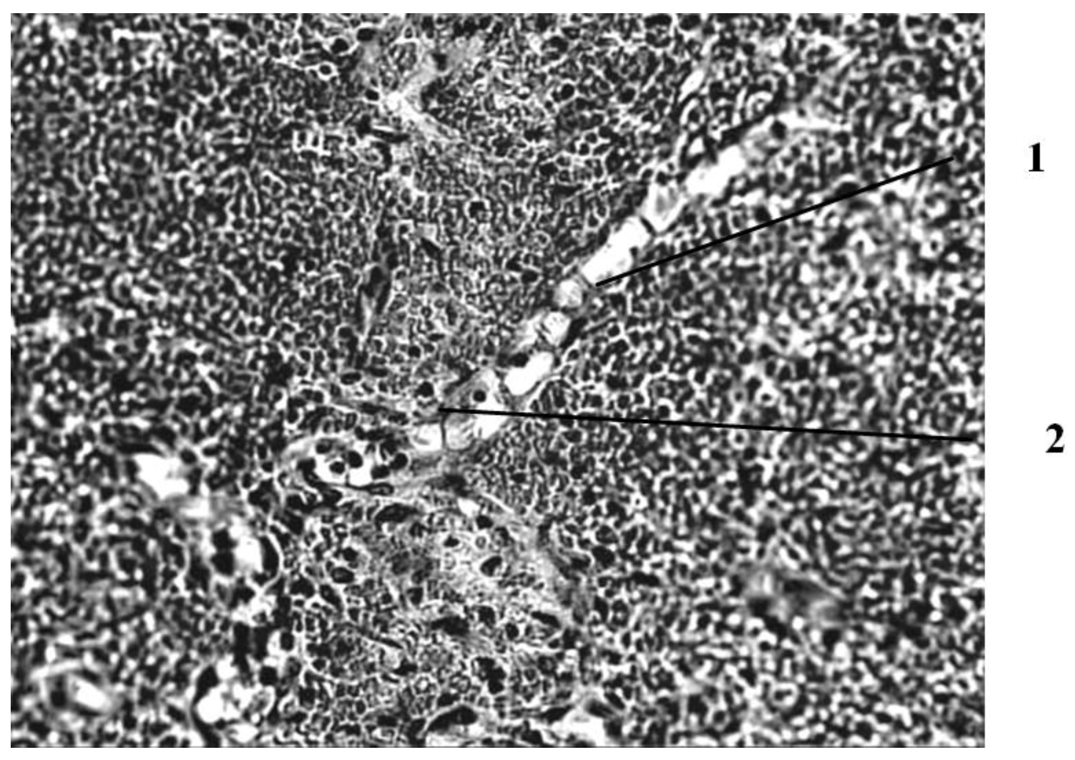 Applsci 12 07638 g004